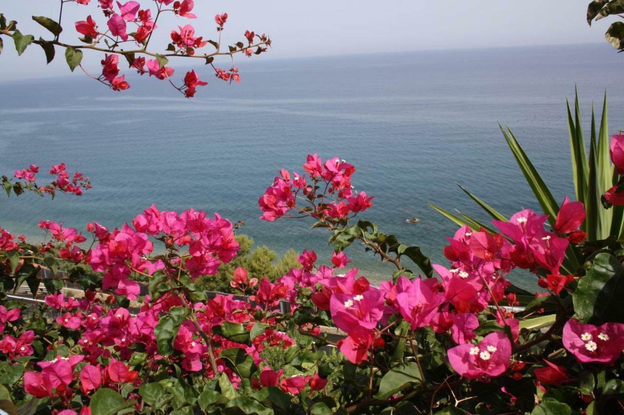 Camere & Case Vacanze Lo Scoglio 카스텔디투사 외부 사진